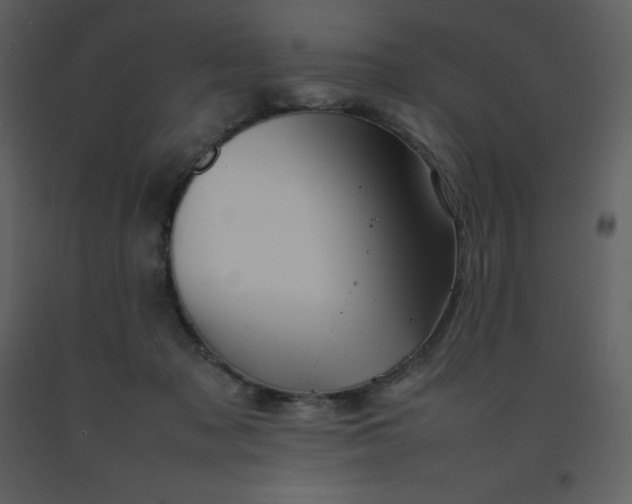 X0000092270317200710051345