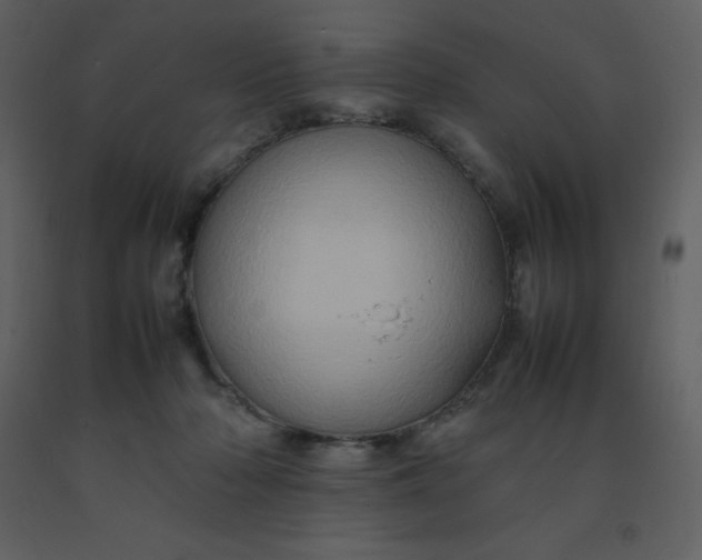 X0000092270318200710051345