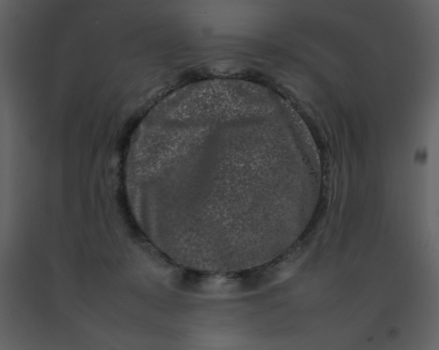 X0000092270319200710051345