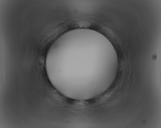 X0000092270321200710051345
