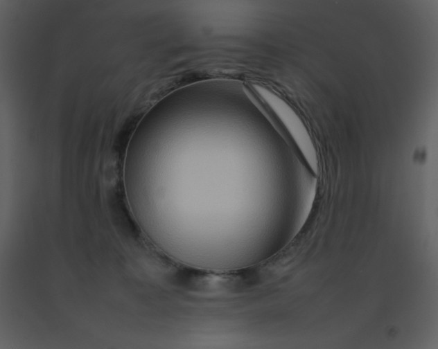 X0000092270323200710051345