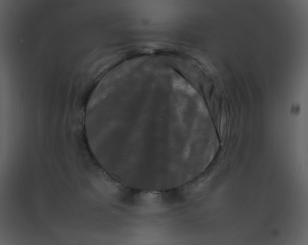 X0000092270325200710051345