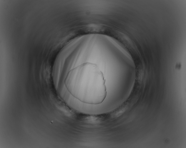 X0000092270326200710051345