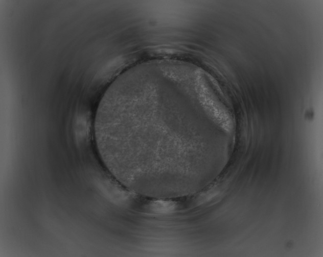 X0000092270328200710051345