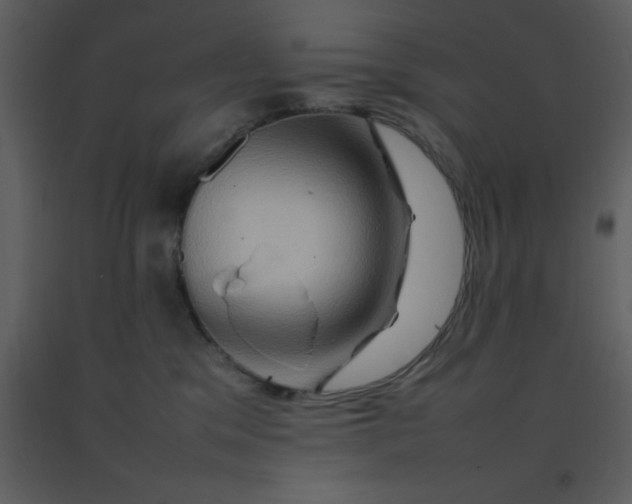 X0000092270329200710051345