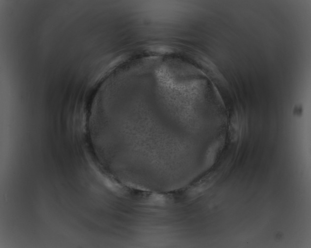 X0000092270330200710051345