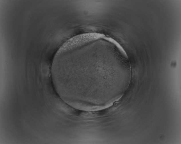X0000092270331200710051345
