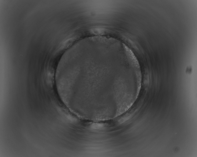 X0000092270332200710051345