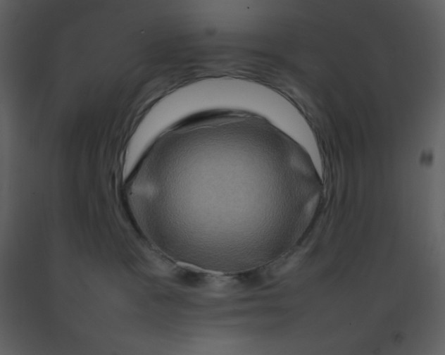 X0000092270333200710051345