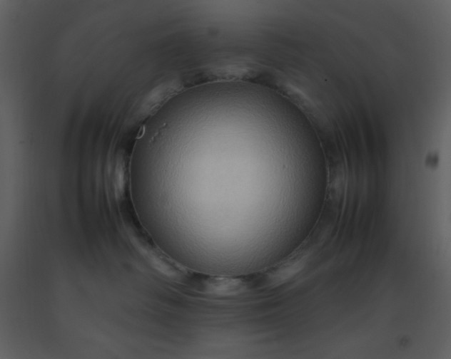 X0000092270334200710051345