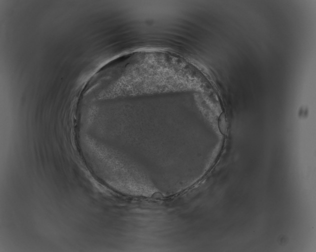X0000092270337200710051344