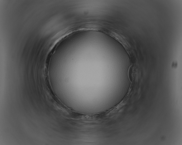 X0000092270338200710051344