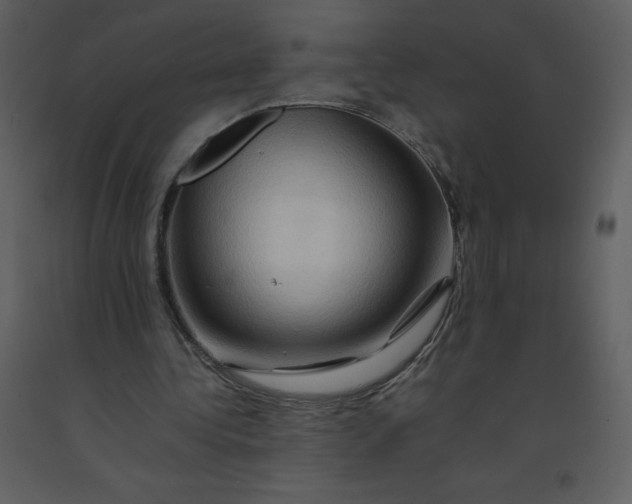 X0000092270340200710051344