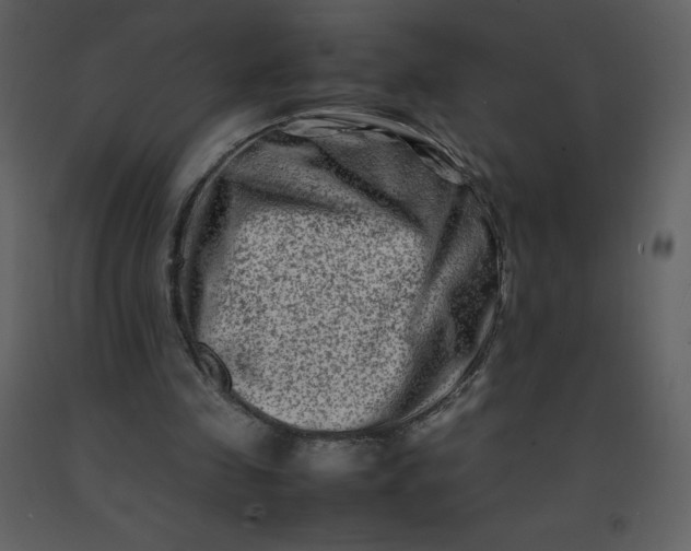 X0000092270341200710051344