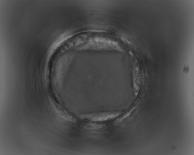 X0000092270343200710051344