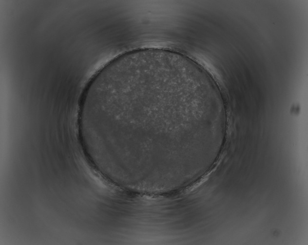 X0000092270346200710051344