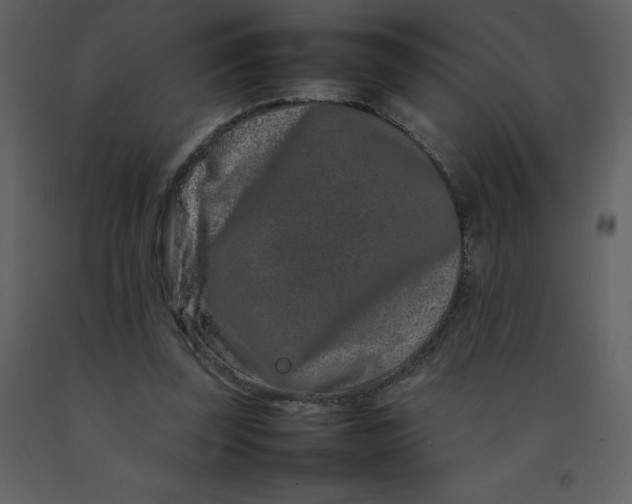 X0000092270347200710051344