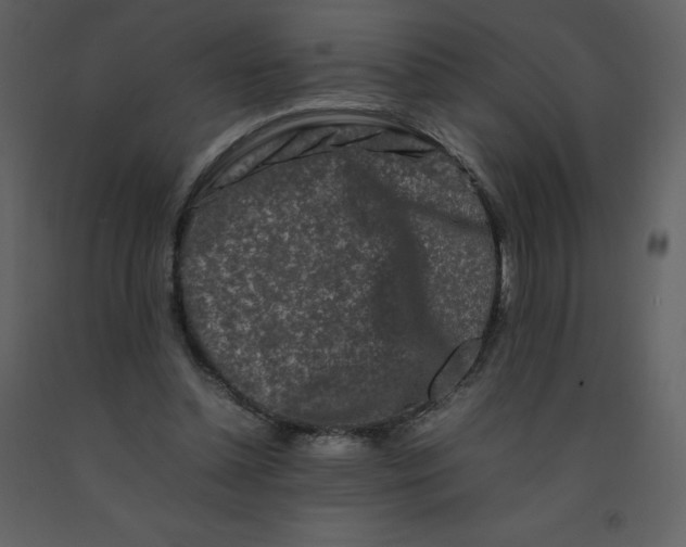 X0000092270348200710051344