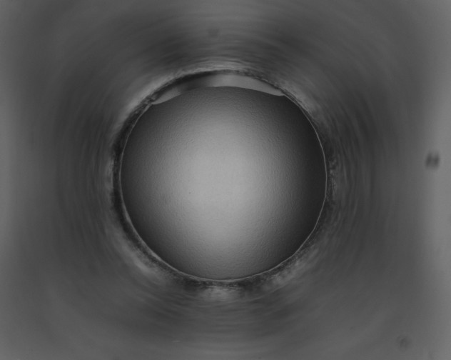 X0000092270350200710051344