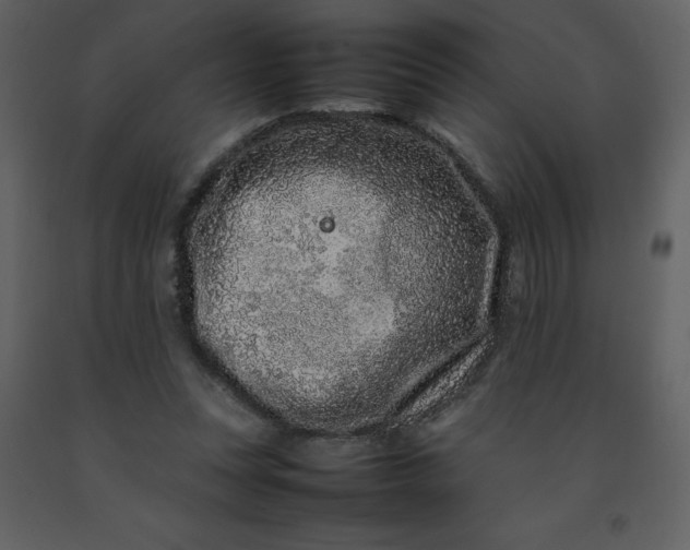 X0000092270351200710051344