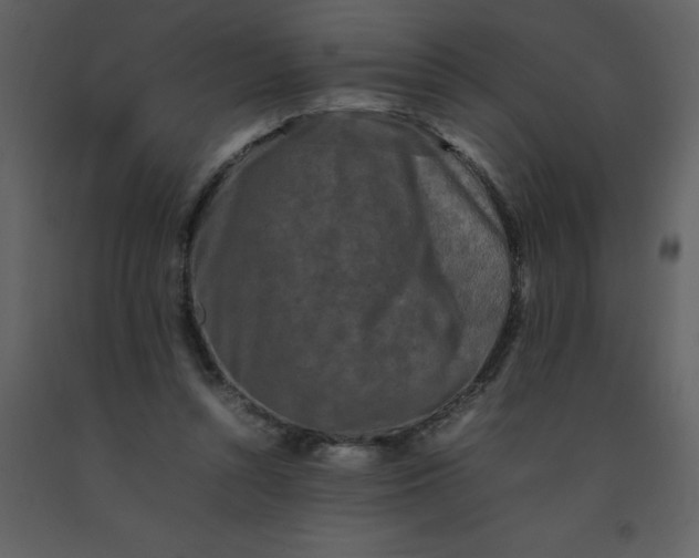 X0000092270352200710051344