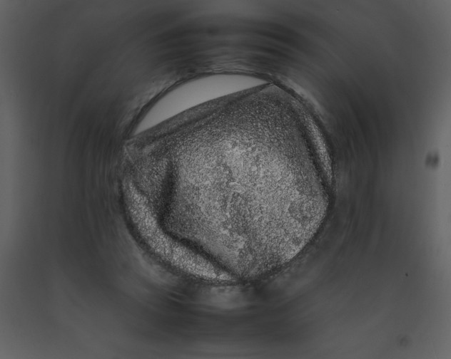 X0000092270353200710051344