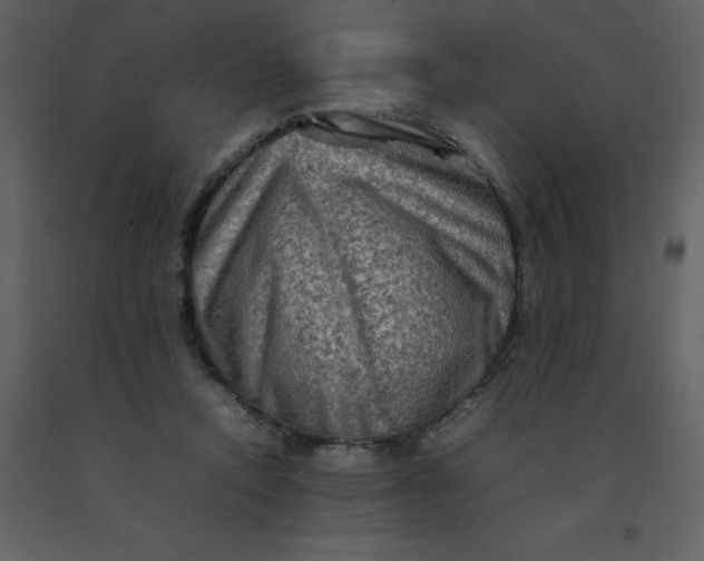 X0000092270354200710051344