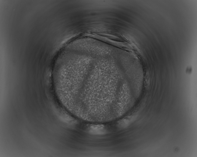X0000092270355200710051344