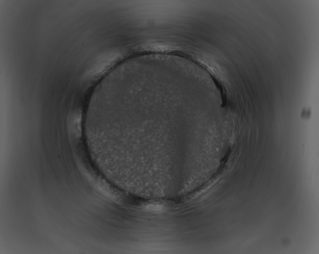 X0000092270358200710051344