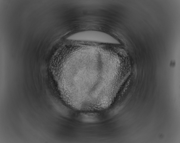 X0000092270359200710051344