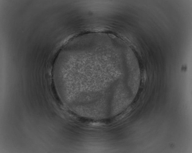 X0000092270360200710051344