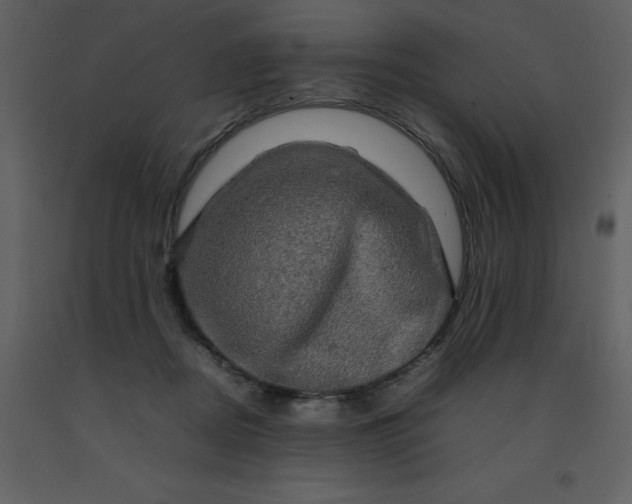 X0000092270362200710051344