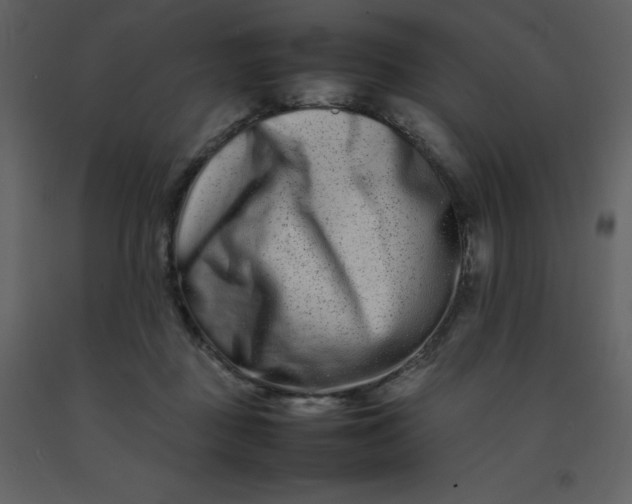 X0000092270363200710051344