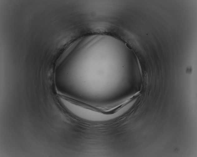 X0000092270364200710051344