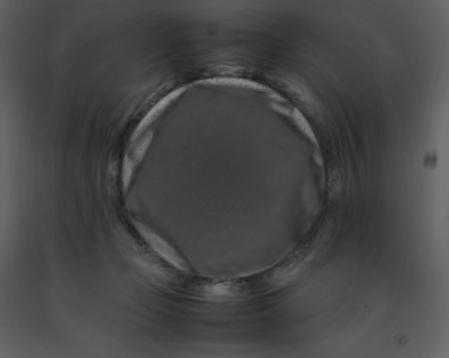X0000092270365200710051344