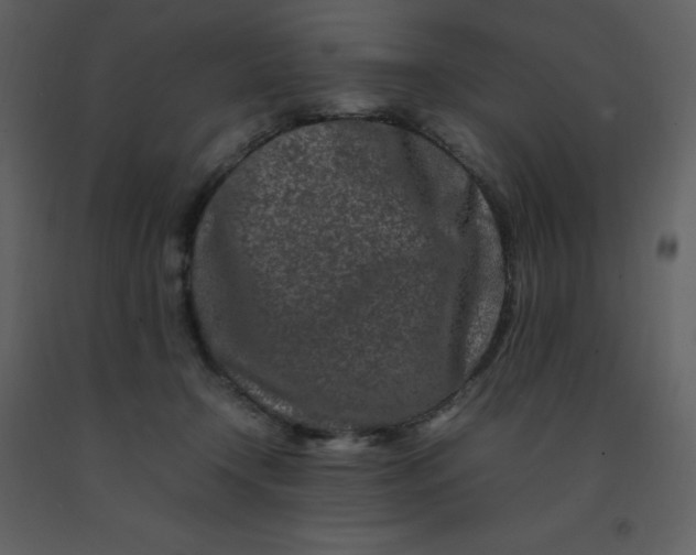 X0000092270366200710051344