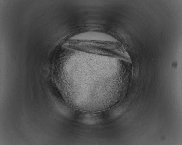 X0000092270367200710051344