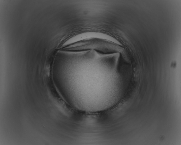 X0000092270368200710051344