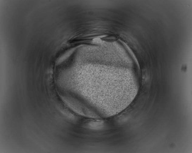 X0000092270369200710051344