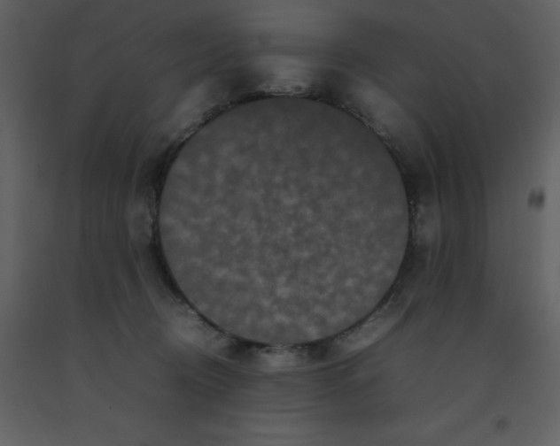 X0000092270370200710051344