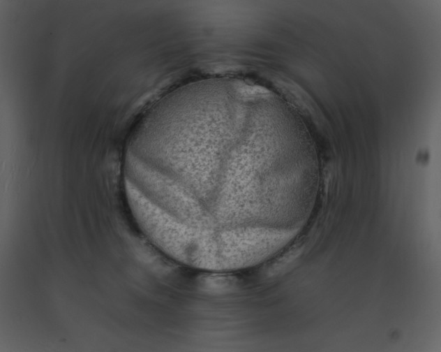 X0000092270372200710051344