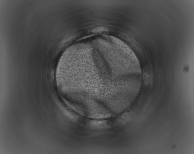 X0000092270375200710051344