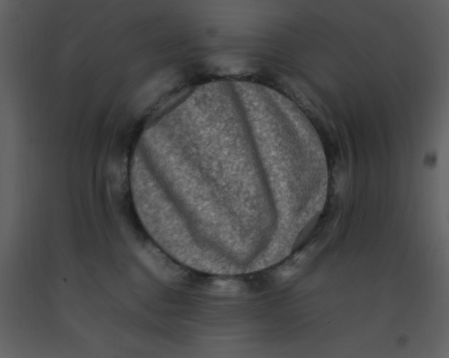 X0000092270376200710051344