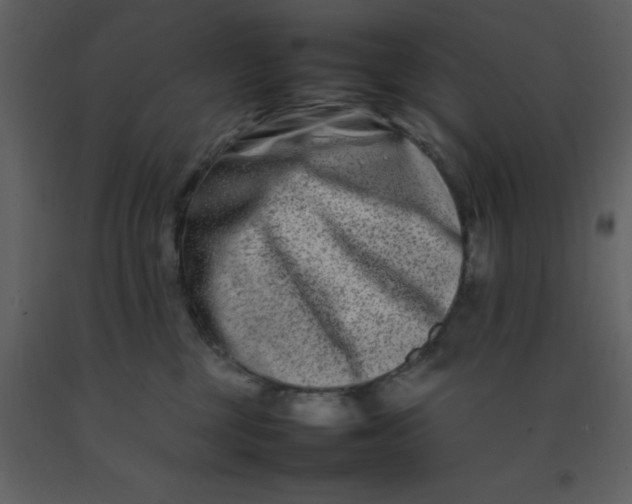 X0000092270377200710051344