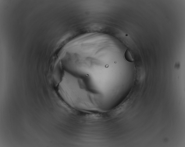 X0000092270378200710051344