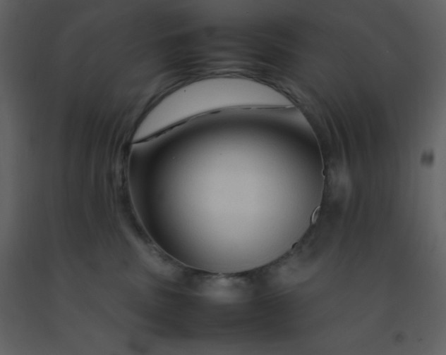 X0000092270379200710051345
