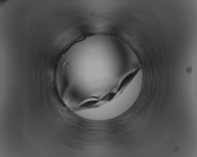 X0000092270380200710051345