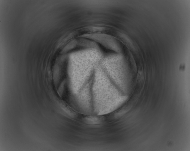 X0000092270381200710051345