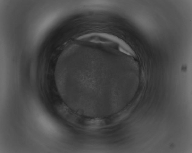 X0000092270383200710051345