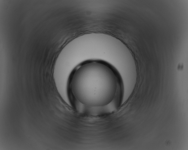 X0000092270384200710051345